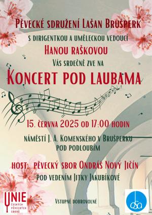Koncert Lašan